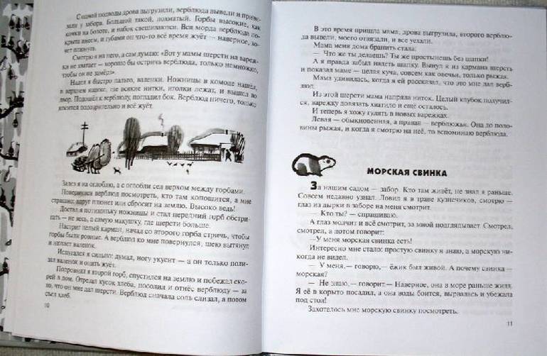 Тимур выбирает