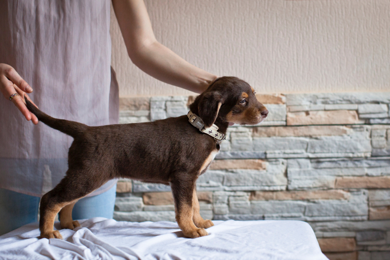 Бьюти в стоечке))