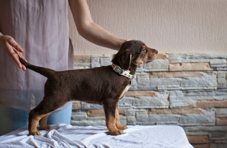 Бьюти в стоечке))