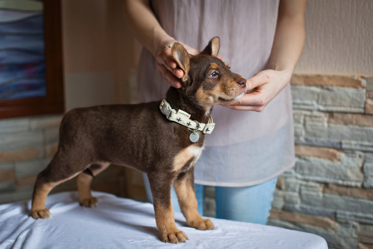 Бьюти в стоечке))