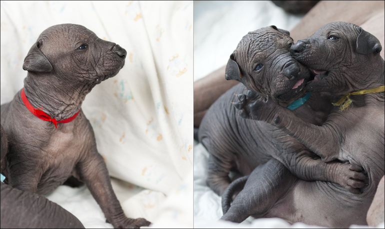 Эти очаровательные голыши...