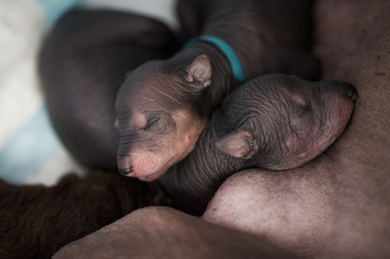 Совсем ещё крошки))