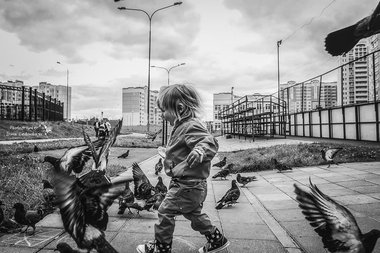 Конец лета, велосипед и голуби ...