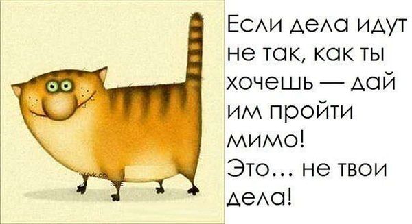 Афоризм не твое дело Афоризм не твое дело
