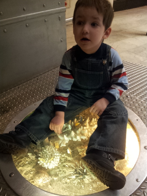 Музей Дарвина - мы там были - смотрите фото)))