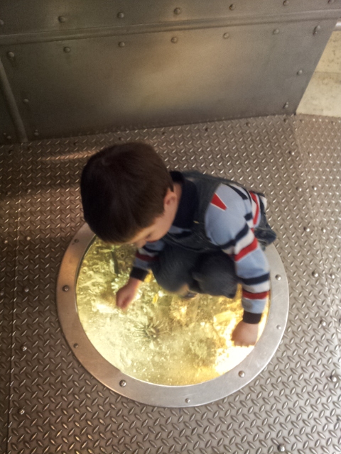 Музей Дарвина - мы там были - смотрите фото)))