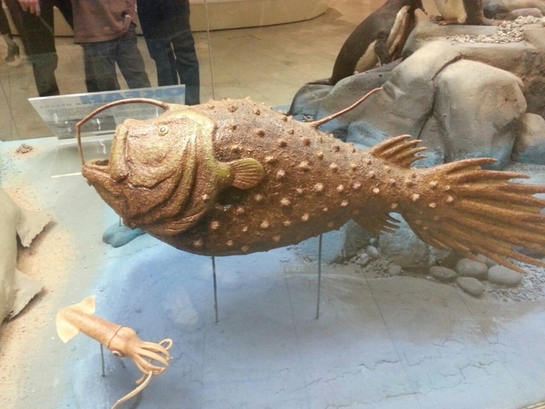 Музей Дарвина - мы там были - смотрите фото)))