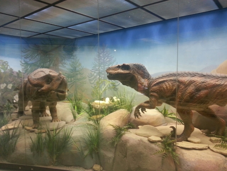 Музей Дарвина - мы там были - смотрите фото)))