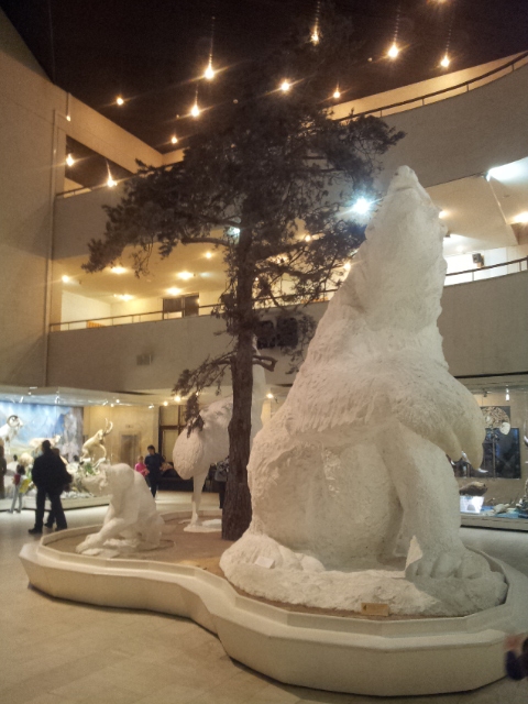 Музей Дарвина - мы там были - смотрите фото)))