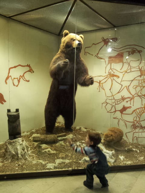 Музей Дарвина - мы там были - смотрите фото)))