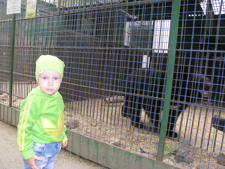 Ура!!! У нас будет малыш!!!