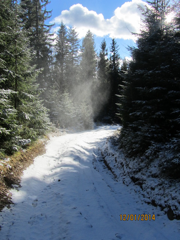 Рождественские каникулы. Карпаты. Часть 2