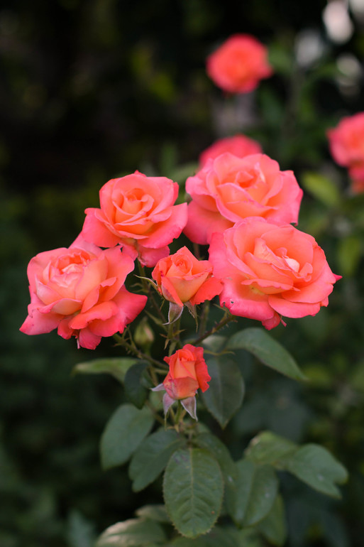 вот оно какое наше Лето:))