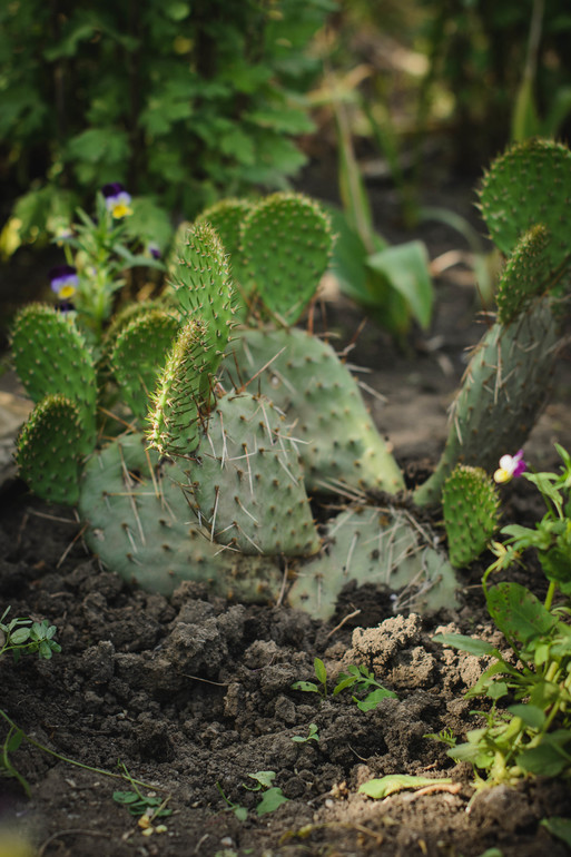 вот оно какое наше Лето:))