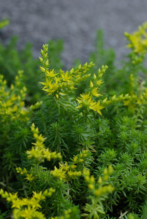 вот оно какое наше Лето:))