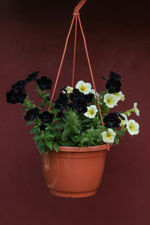 вот оно какое наше Лето:))