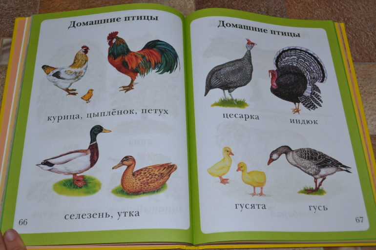 Развивающее пополнение))