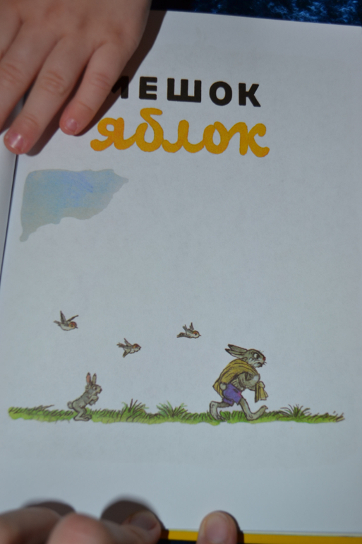 Дневник читателя июнь (сыну 2,0-2,1 г.)