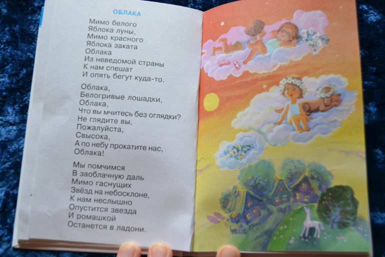 Дневник читателя июнь (сыну 2,0-2,1 г.)