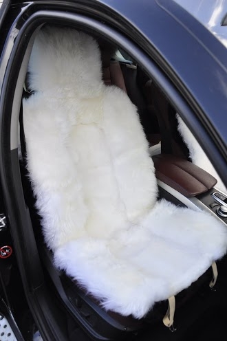~~~~АВТОЛЕДИ~~~~