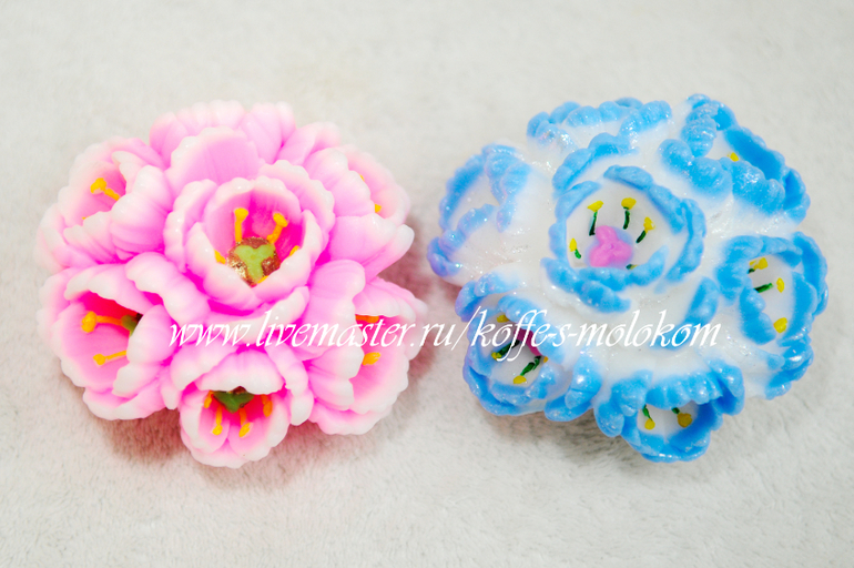 Мои новинки! Новые цветочки!