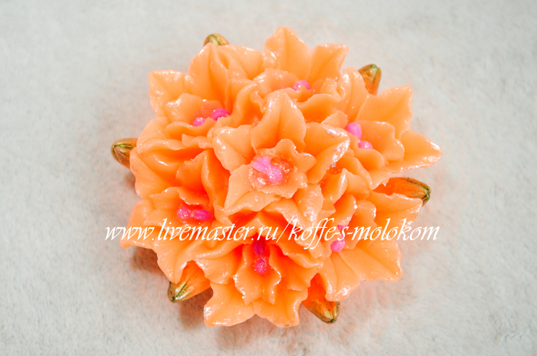 Мои новинки! Новые цветочки!