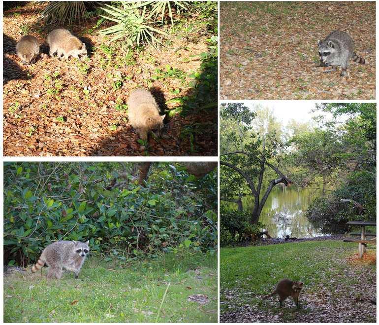 Пасхально-весеннее