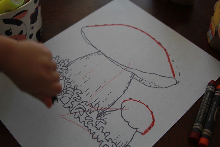 ТН Маша и Медведь