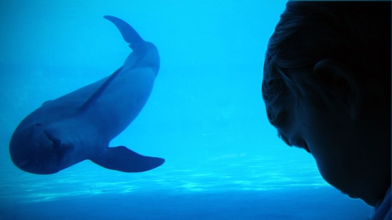 Наше знакомство с обитателями воды