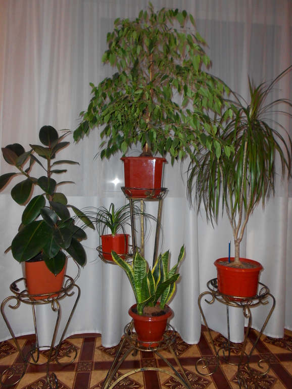 Хочу еще похвастаться...