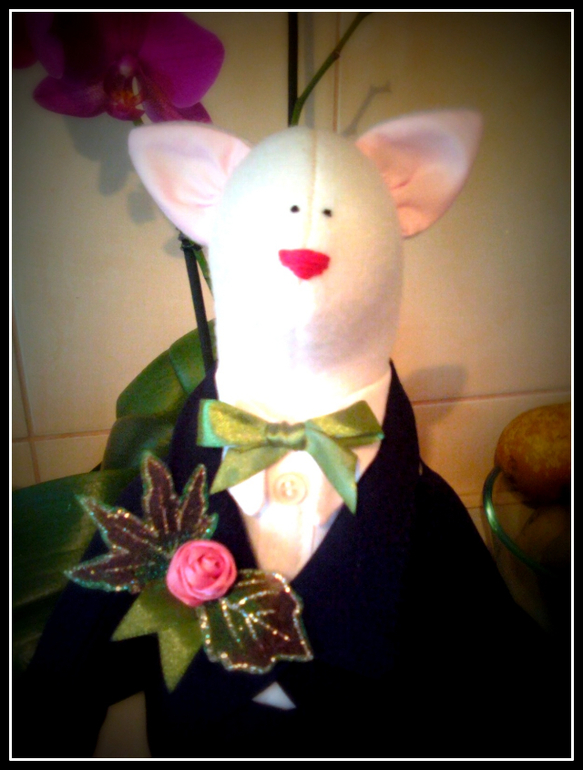 Кошечки, котики, котята...