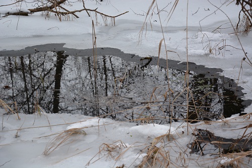 На лыжах - в мочаки)