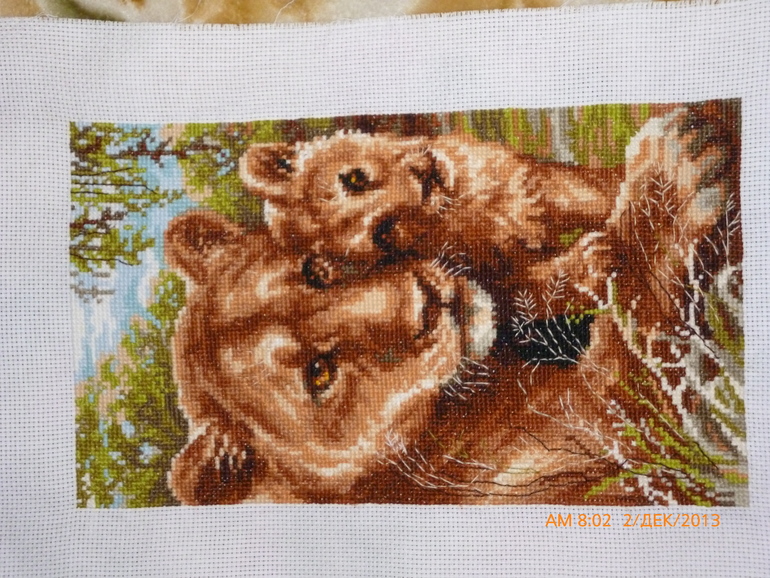 помогите оценить вышивки.