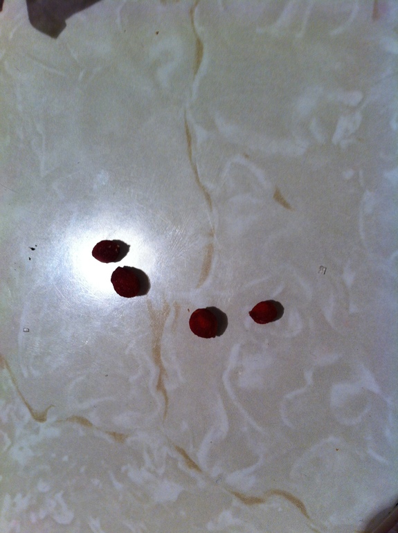 Маленько моих зелёных жителей.