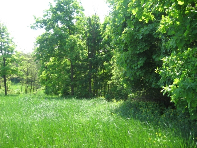 Житомирщина, Полесье