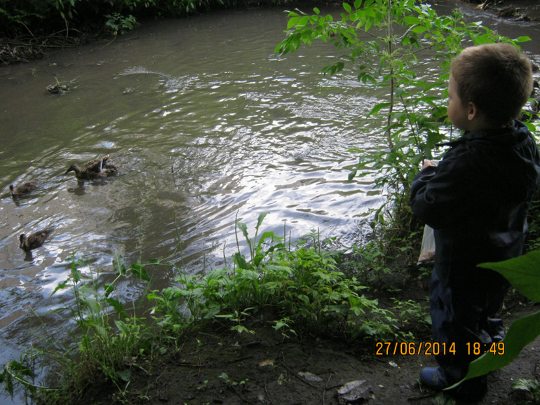 Проект 365. (27.06.2014) Наша традиция- день добрых дел