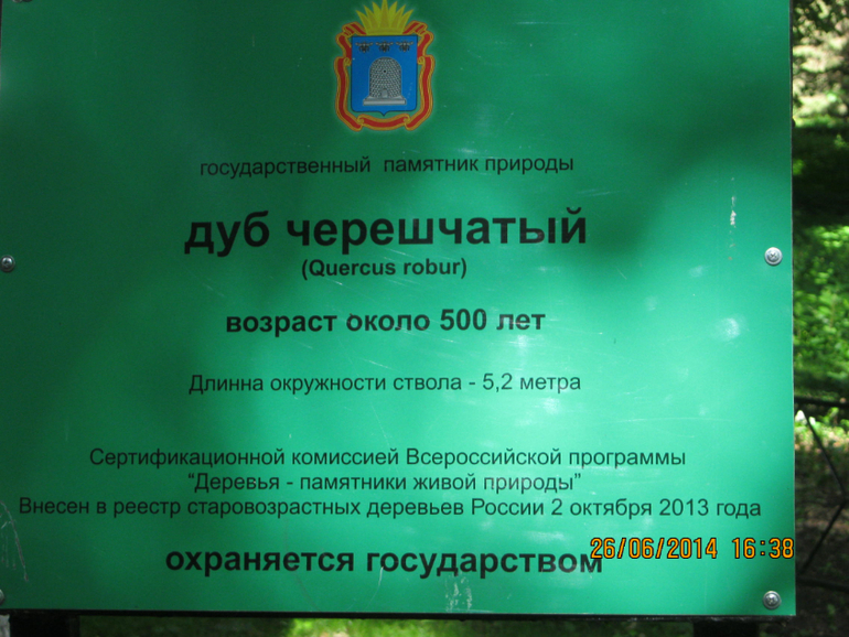 Проект 365. (26.06.2014) Микроскоп