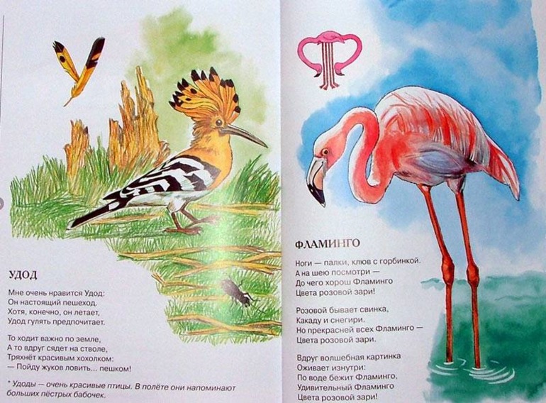 Библиотечное. Зоология для детей. Усачев.