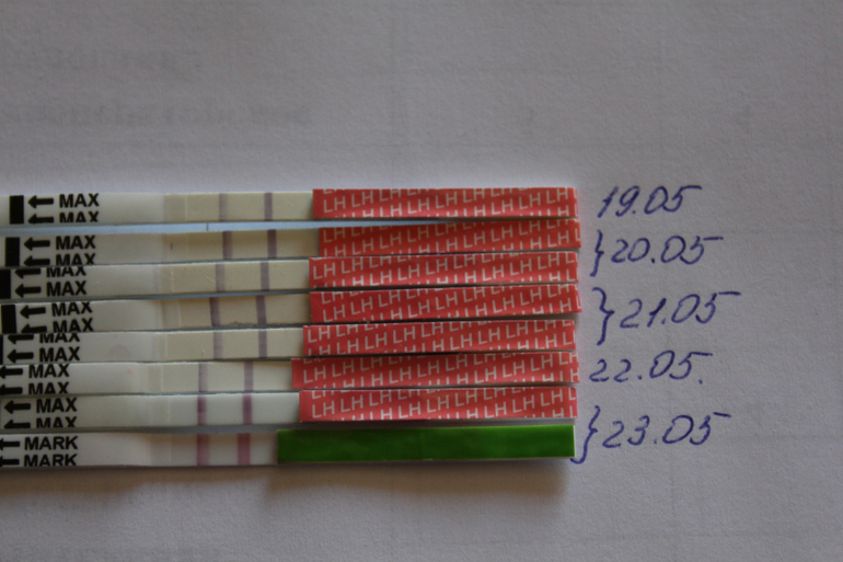 а никакой походу у меня ДПО