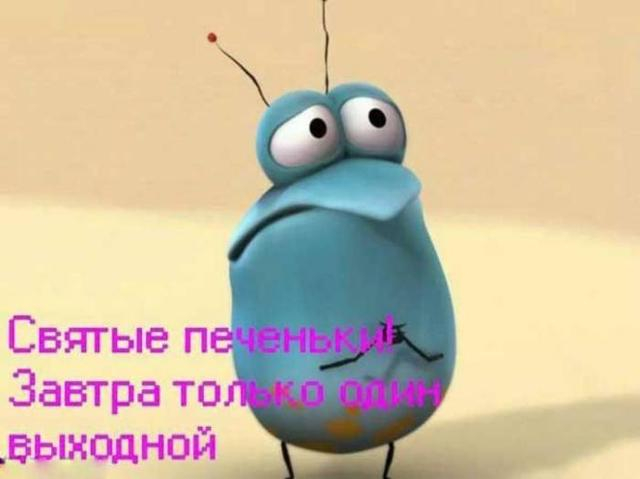 Господи, ну зачем я здесь сегодня???