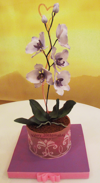 Торт Орхидея