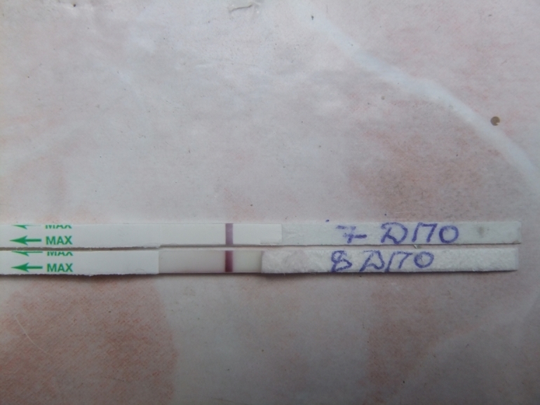 Посмотрите пожалуйста....