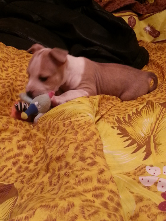 Наша Адочка