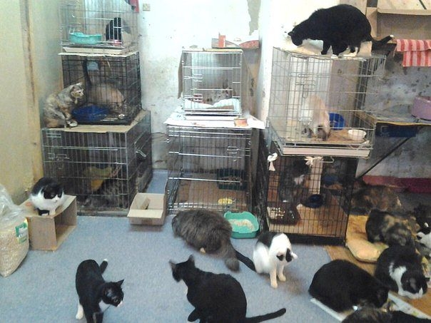 Продолжение