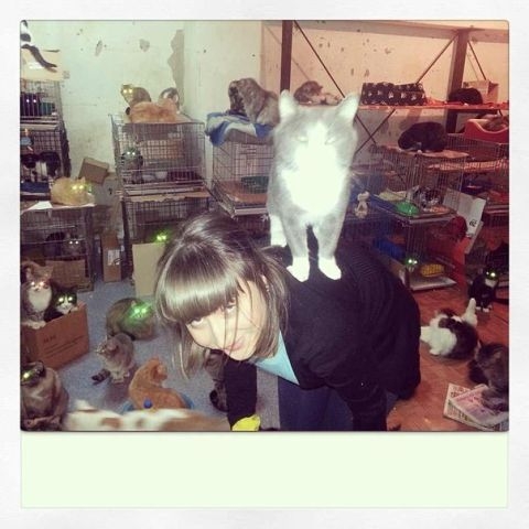 Продолжение