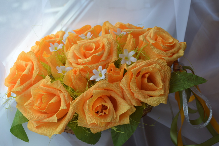 Кто на новенького