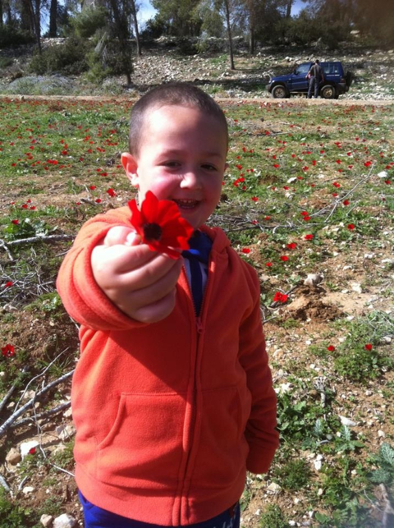 1.2.2014-суровая зима!