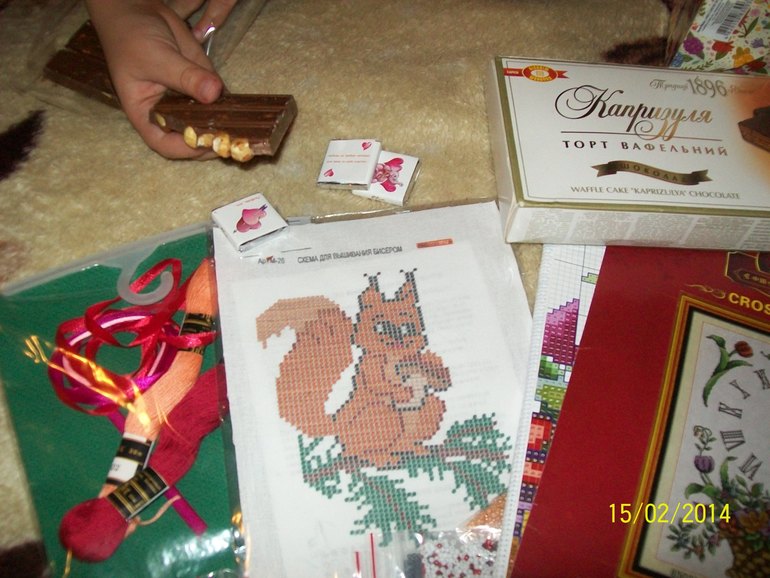 приехал мой первый хомка домой)