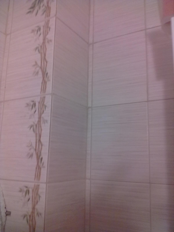 Ремонт(ПЛИТКА,САНТЕХНИКА, ЭЛЕКТРИКА)