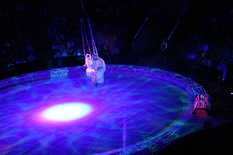 "Беспонятье" в Большом Московском цирке!